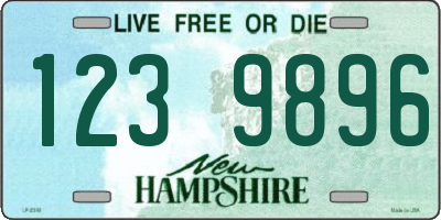 NH license plate 1239896