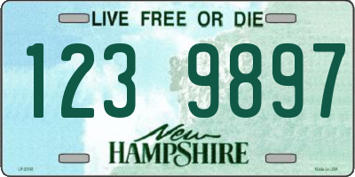 NH license plate 1239897