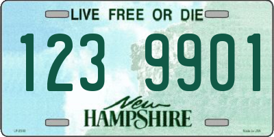 NH license plate 1239901