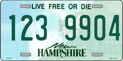 NH license plate 1239904