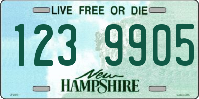 NH license plate 1239905