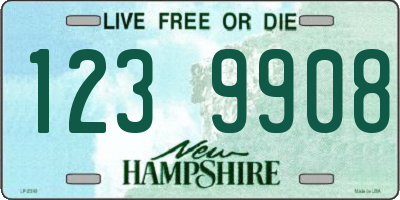 NH license plate 1239908
