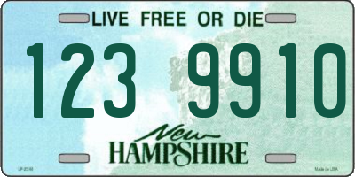 NH license plate 1239910