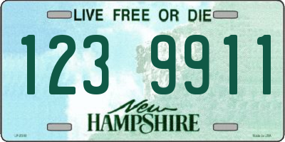 NH license plate 1239911