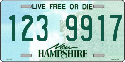 NH license plate 1239917