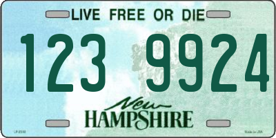 NH license plate 1239924
