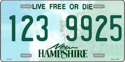 NH license plate 1239925