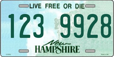 NH license plate 1239928