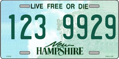 NH license plate 1239929