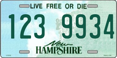 NH license plate 1239934