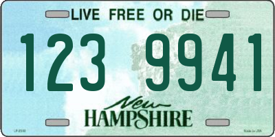 NH license plate 1239941