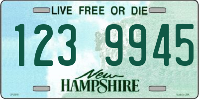 NH license plate 1239945