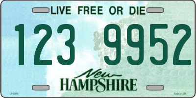 NH license plate 1239952