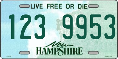 NH license plate 1239953