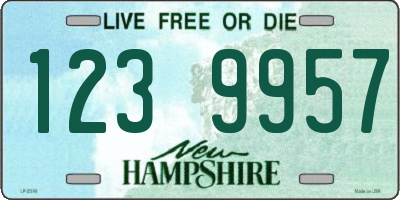 NH license plate 1239957