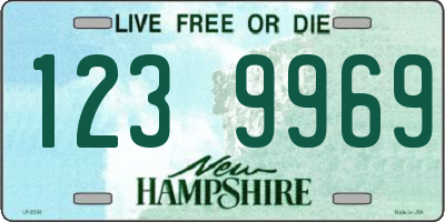 NH license plate 1239969