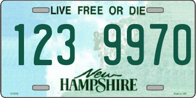 NH license plate 1239970