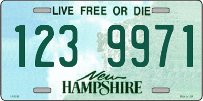 NH license plate 1239971