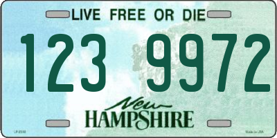 NH license plate 1239972