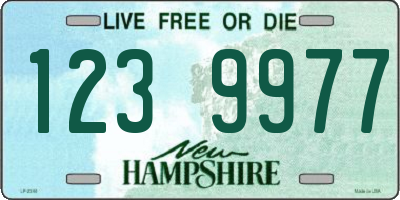 NH license plate 1239977