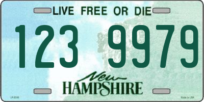 NH license plate 1239979