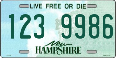 NH license plate 1239986