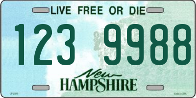 NH license plate 1239988