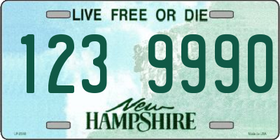 NH license plate 1239990