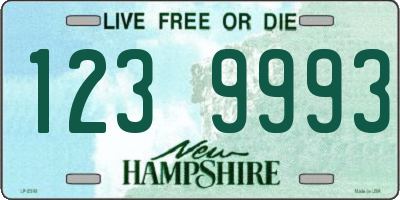 NH license plate 1239993