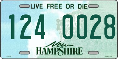 NH license plate 1240028