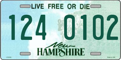 NH license plate 1240102