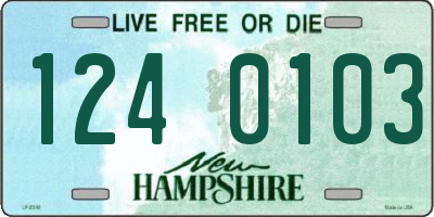 NH license plate 1240103