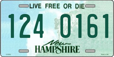 NH license plate 1240161