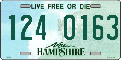 NH license plate 1240163