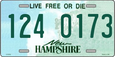 NH license plate 1240173