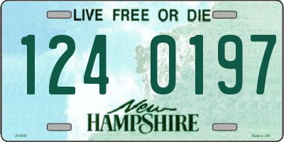 NH license plate 1240197