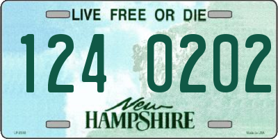 NH license plate 1240202