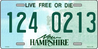 NH license plate 1240213