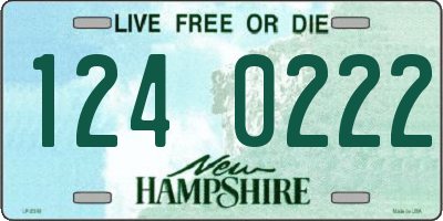 NH license plate 1240222