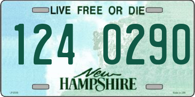 NH license plate 1240290