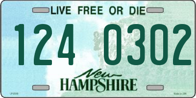 NH license plate 1240302