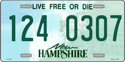 NH license plate 1240307
