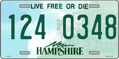 NH license plate 1240348