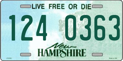 NH license plate 1240363
