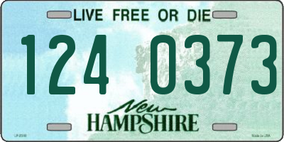NH license plate 1240373