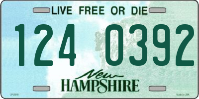 NH license plate 1240392
