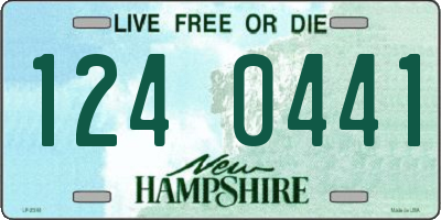 NH license plate 1240441