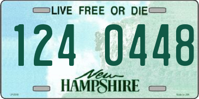 NH license plate 1240448