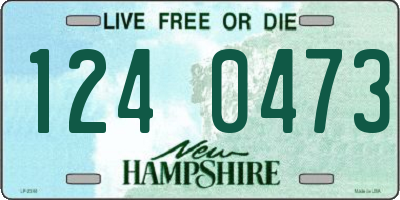 NH license plate 1240473
