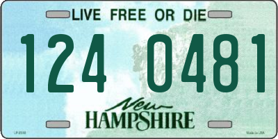 NH license plate 1240481
